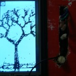 Another tree!